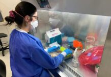 Reportan primer caso de nueva variante del sublinaje de SARS-CoV-2 XBB.116 en Ecuador