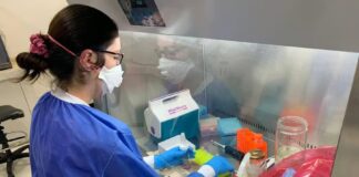 Reportan primer caso de nueva variante del sublinaje de SARS-CoV-2 XBB.116 en Ecuador