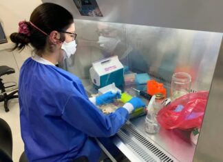 Reportan primer caso de nueva variante del sublinaje de SARS-CoV-2 XBB.116 en Ecuador