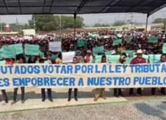 Productores de camarón y melón y en el sur del país marchan en contra de la Ley de Justicia Tributaria