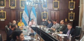 Consejo Nacional de Defensa y Seguridad investigará la movilización de la zona sur y pide sanciones para los promotores