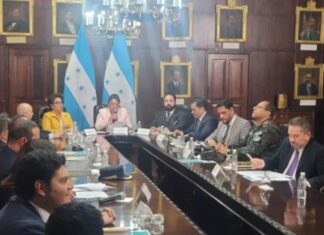 Consejo Nacional de Defensa y Seguridad investigará la movilización de la zona sur y pide sanciones para los promotores