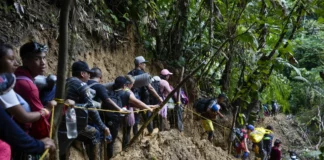 Unos 166,122 migrantes cruzaron la selva del Darién este año, 5 veces más que en 2022