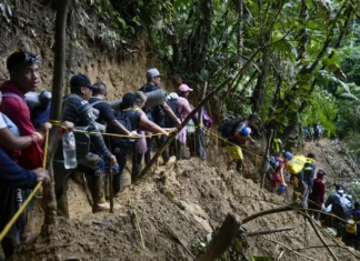 Unos 166,122 migrantes cruzaron la selva del Darién este año, 5 veces más que en 2022