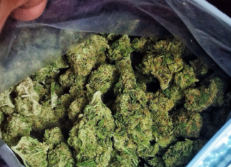 EEUU registra el mayor consumo de marihuana entre trabajadores en 20 años