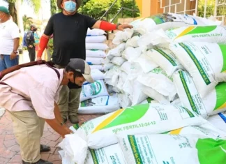 Entrega de semilla y bono tecnológico será entregado a municipios afectados por sequía