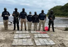 Condenan a más de 11 años de cárcel a un hondureño por traficar con 248 kilos de cocaína