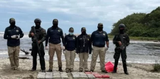 Condenan a más de 11 años de cárcel a un hondureño por traficar con 248 kilos de cocaína