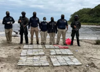 Condenan a más de 11 años de cárcel a un hondureño por traficar con 248 kilos de cocaína