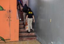 La ATIC llega a la Dinaf para investigar supuesta corrupción de exdirectora Dulce María Villanueva