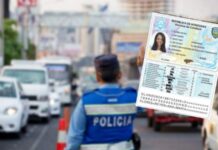 La DNVT decomisó en las últimas horas 513 licencias de conducir en la «Operación Candado»