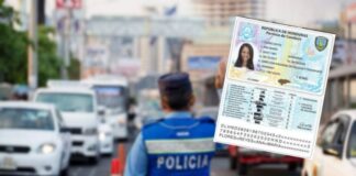 La DNVT decomisó en las últimas horas 513 licencias de conducir en la «Operación Candado»