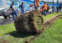 Remiten a la Fiscalía y a la PGR el informe sobre la compra e instalación de la grama en el Estadio Nacional