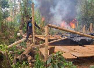 Honduras destruye más de 3 millones de arbustos y plántulas de coca y cuatro laboratorios