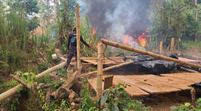 Honduras destruye más de 3 millones de arbustos y plántulas de coca y cuatro laboratorios