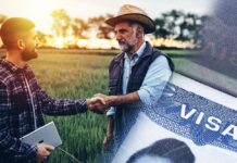 EE. UU. ha entregado 885,000 visados laborales en 2022 y 2023