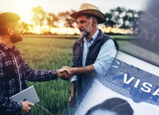 EE. UU. ha entregado 885,000 visados laborales en 2022 y 2023