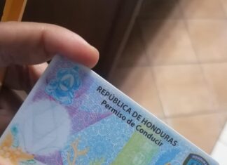 Emision de permisos de conducir se reanudarán en la segunda quincena de junio, señala Edgardo Barahona