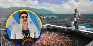 Presidenta Castro ordena suspender licencias ambientales de acuicultura en el Lago de Yojoa
