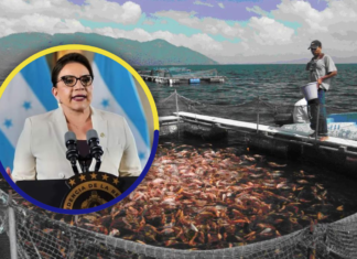 Presidenta Castro ordena suspender licencias ambientales de acuicultura en el Lago de Yojoa
