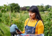 Latinoamérica no accede a buena conectividad rural con estándares de calidad