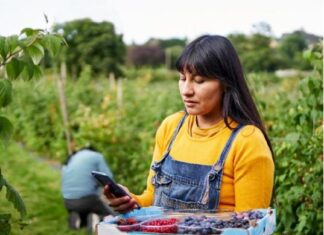 Latinoamérica no accede a buena conectividad rural con estándares de calidad