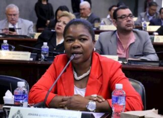 Los funcionarios del Gobierno deben trabajar y dejar de estar publicando «payasadas» en redes sociales, manifiesta la diputada Johana Bermúdez