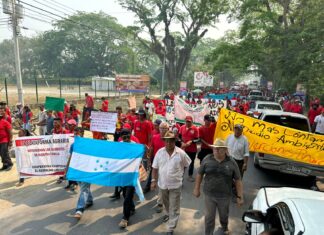 Gobierno también obliga a empleados a ir a manifestaciones, responden sectores