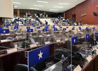 Alcaldes del Partido Nacional niegan que respaldan la Ley Tributaria