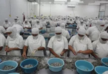 Empresa privada advierte riesgo de perder 100 mil empleos en la zona sur