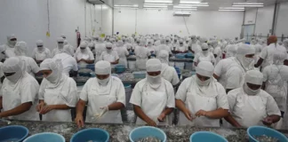 Empresa privada advierte riesgo de perder 100 mil empleos en la zona sur