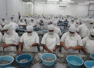 Empresa privada advierte riesgo de perder 100 mil empleos en la zona sur