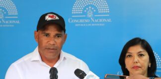 Titular de Condepor desmiente acusaciones por presuntas irregularidades en el cambio de grama al Estadio Nacional