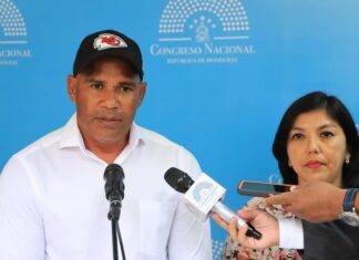 Titular de Condepor desmiente acusaciones por presuntas irregularidades en el cambio de grama al Estadio Nacional