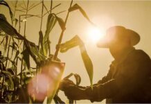 FAO pide a Centroamérica adaptar su agro al «clima del futuro» ante la llegada de El Niño