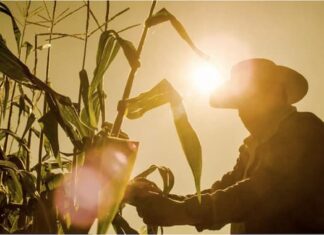 FAO pide a Centroamérica adaptar su agro al «clima del futuro» ante la llegada de El Niño