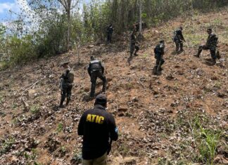 La ATIC erradica plantación de 10 manzanas de hoja de coca y destruye un narcolaboratorio en Colón