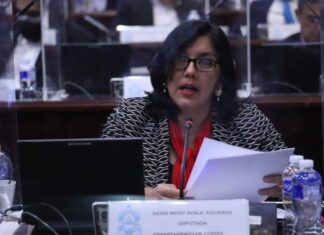 Silvia Ayala: «Estamos seguros que contaremos con los votos necesarios para aprobar la Ley Tributaria»
