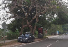 Asesinan a conductor de taxi VIP en San Pedro Sula