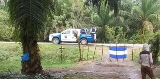 Productores reportan que más de 30 mil hectáreas de tierra han sido invadidas en el litoral Atlántico del país