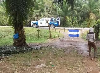 Productores reportan que más de 30 mil hectáreas de tierra han sido invadidas en el litoral Atlántico del país