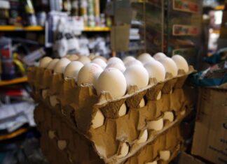 Cartón de huevos registra una rebaja de dos lempiras