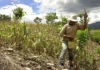 El gobierno destina 5 mil millones de lempiras para enfrentar la sequía por el fenómeno “El Niño”