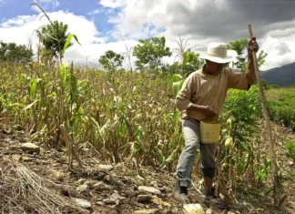 El gobierno destina 5 mil millones de lempiras para enfrentar la sequía por el fenómeno “El Niño”