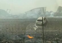 Al menos 6 muertos en accidente múltiple en EE.UU. por una tormenta de arena