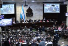 Diputados piden investigar el caso de Gabriela Castellanos