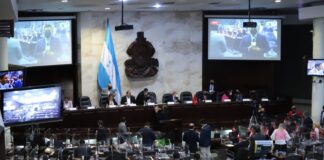 Diputados piden investigar el caso de Gabriela Castellanos