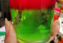 Crean La Grilla, una cerveza mexicana a base de insectos