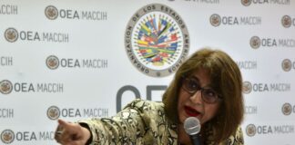 Ex vocera de la MACCIH sugiere medidas de protección e investigación para Gabriela Castellanos
