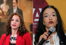 Gabriela Castellanos lamenta desconocimiento sobre Mecanismo de Protección de la ministra Roque